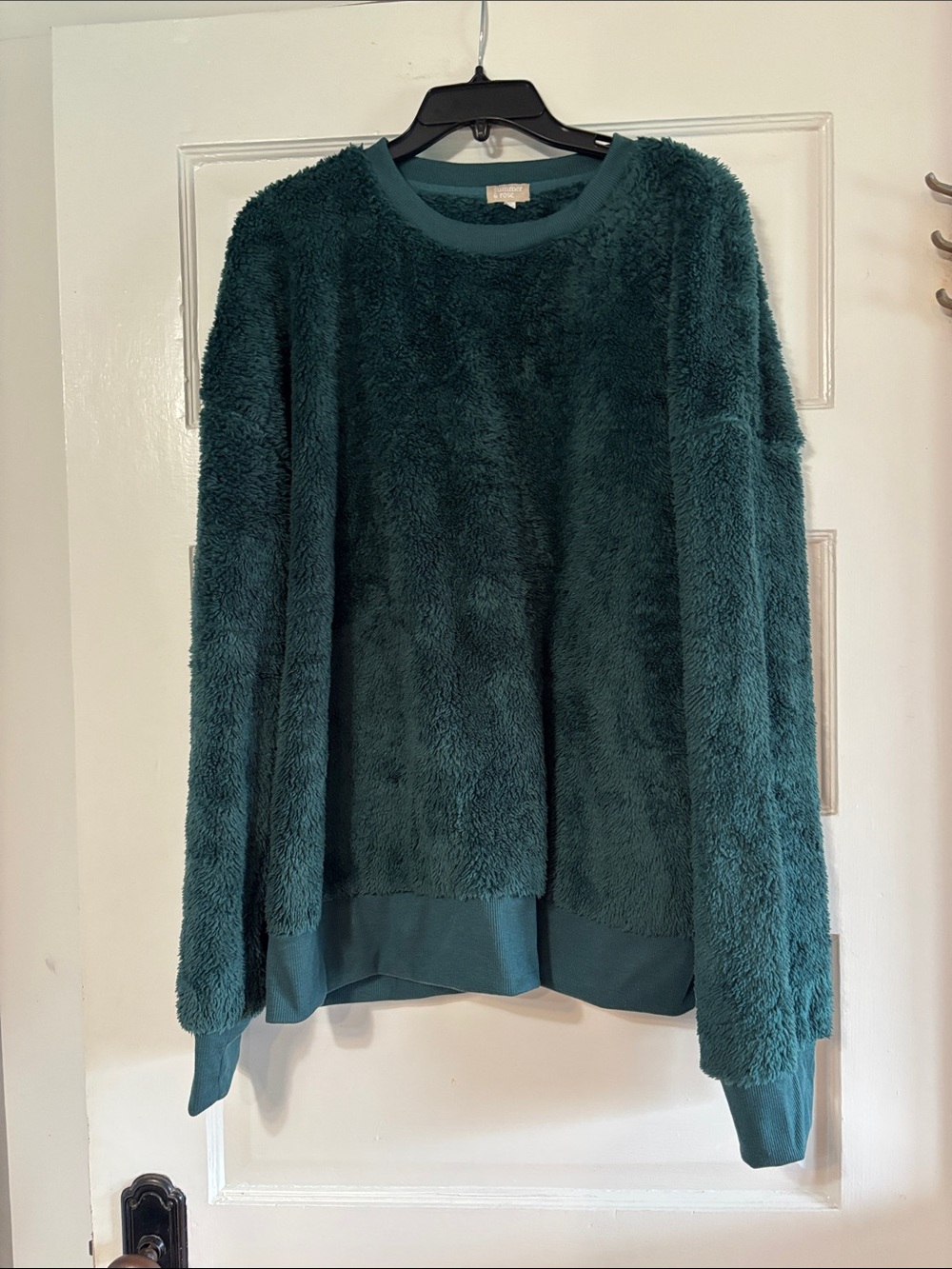 summer & rose Plush Crewneck Sweater in Teal Green